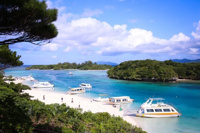 スケジュール4画像