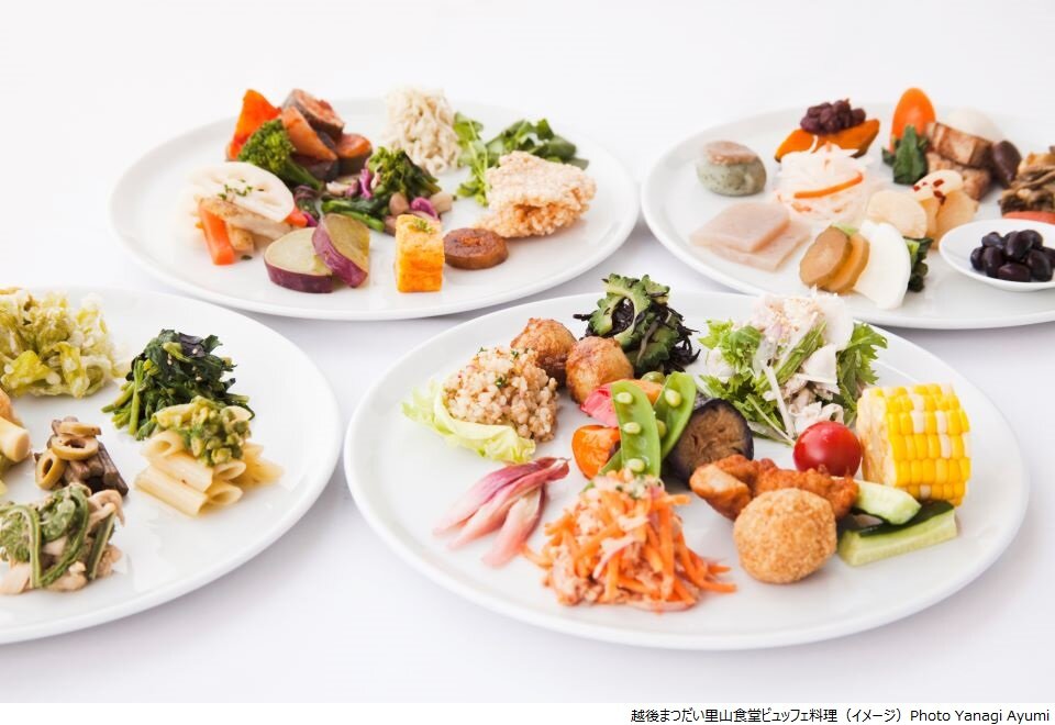 s越後まつだい里山食堂ビュッフェ料理（イメージ）Photo Yanagi Ayumi.jpg