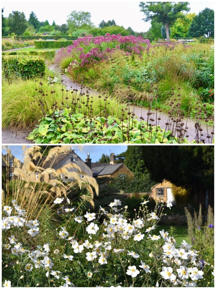 スケジュール1画像