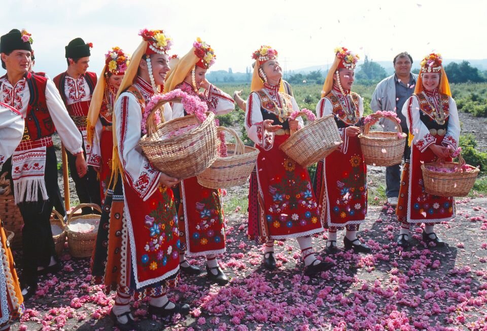 スケジュール4画像