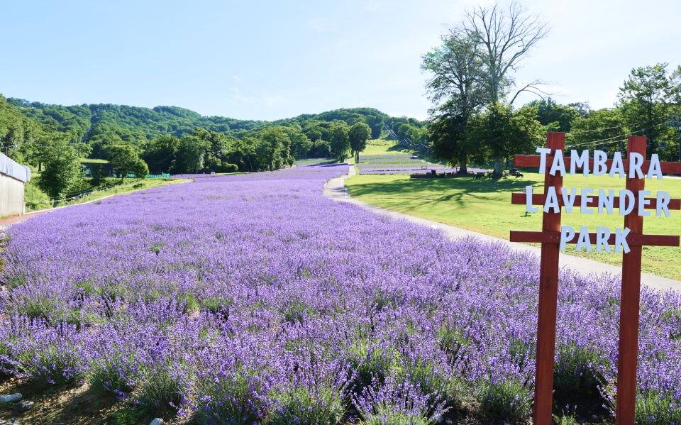 スケジュール1画像