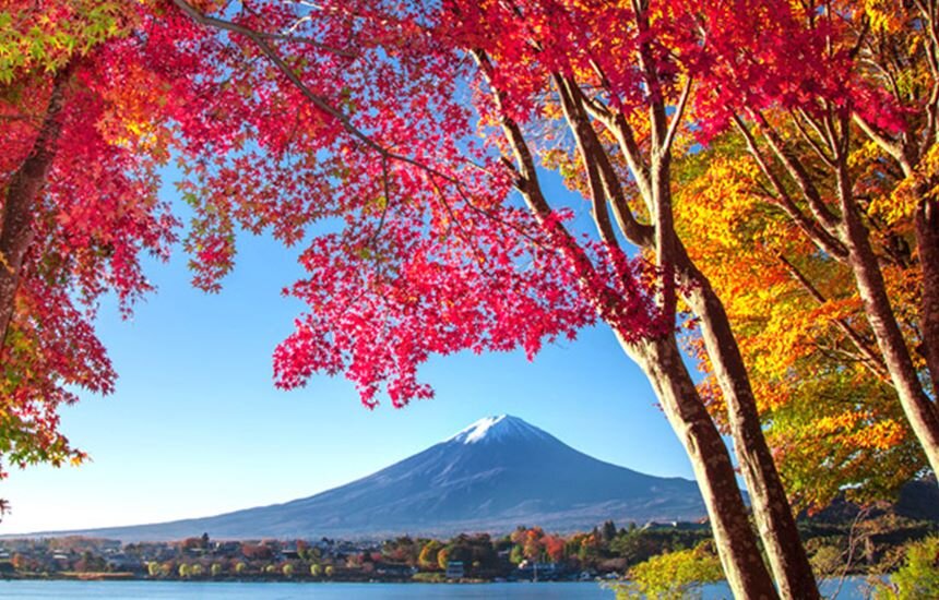 スケジュール1画像