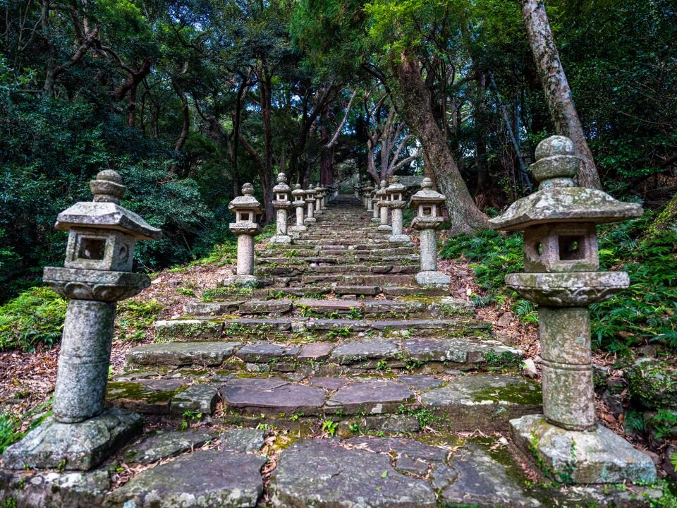 スケジュール1画像