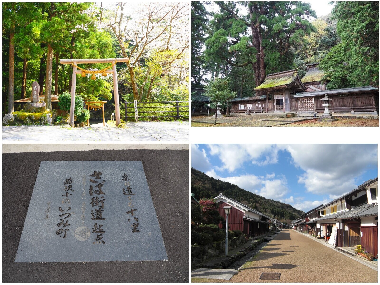 スケジュール1画像