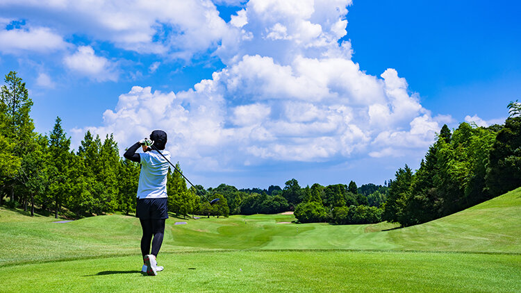 メゾンカルチャーネットワークの旅のイメージ