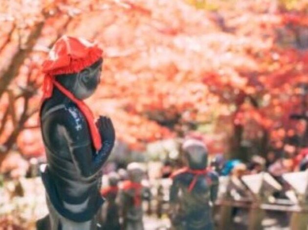  紅葉彩る秋の大山さんぽ＆<br>開山1300年飯山観音特別御開帳見学バスツアー