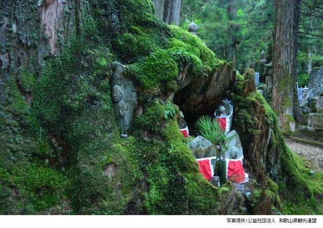 天空の聖地「高野山」<br />神聖な空気に満ちる3日間