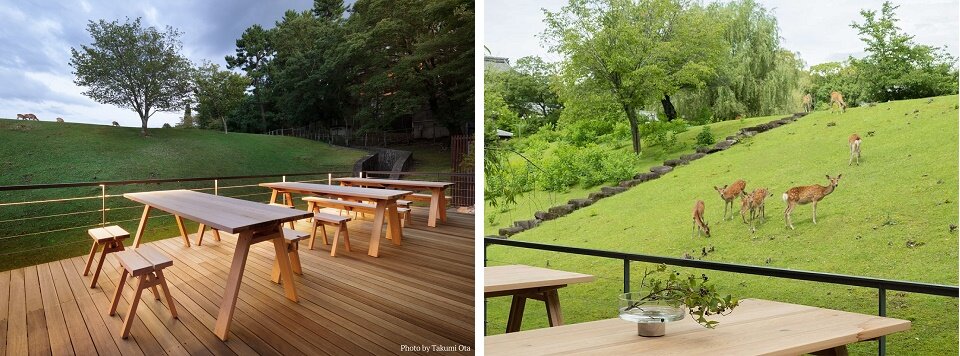 MIROKU 奈良 客室　テラスコラージュ.jpg